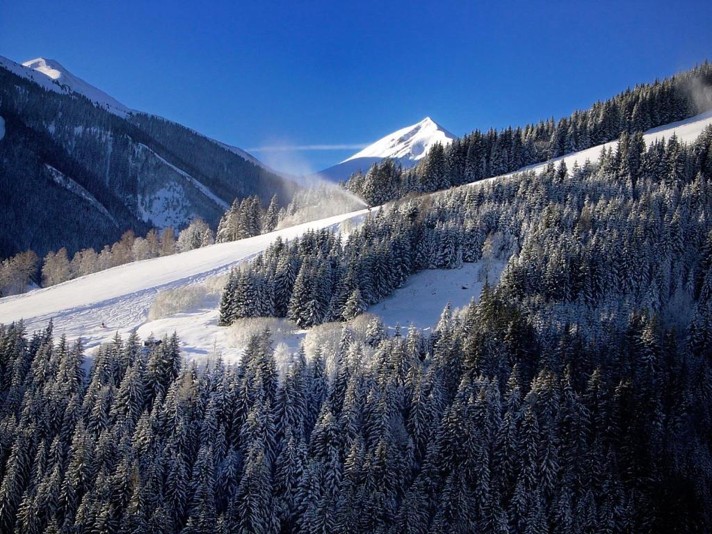 Mh Appartement Hochwimmer Saalbach-Hinterglemm Eksteriør billede